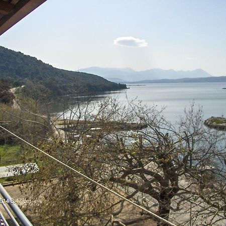 Σαββασ Ξενοδοχείο Agios Thomas  Εξωτερικό φωτογραφία